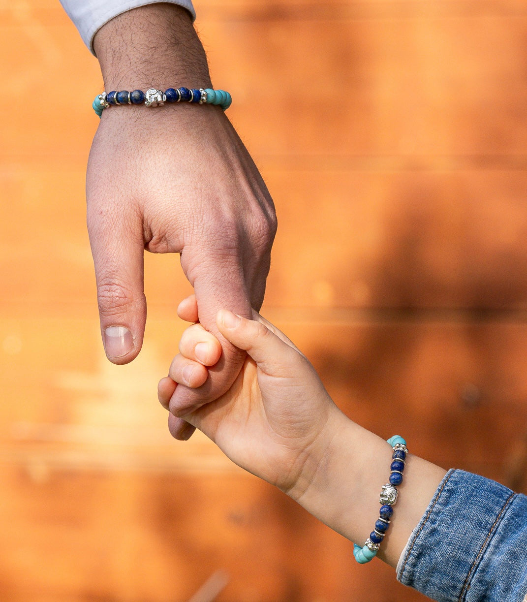 "Elefantino cuore di padre, anima di figlio"