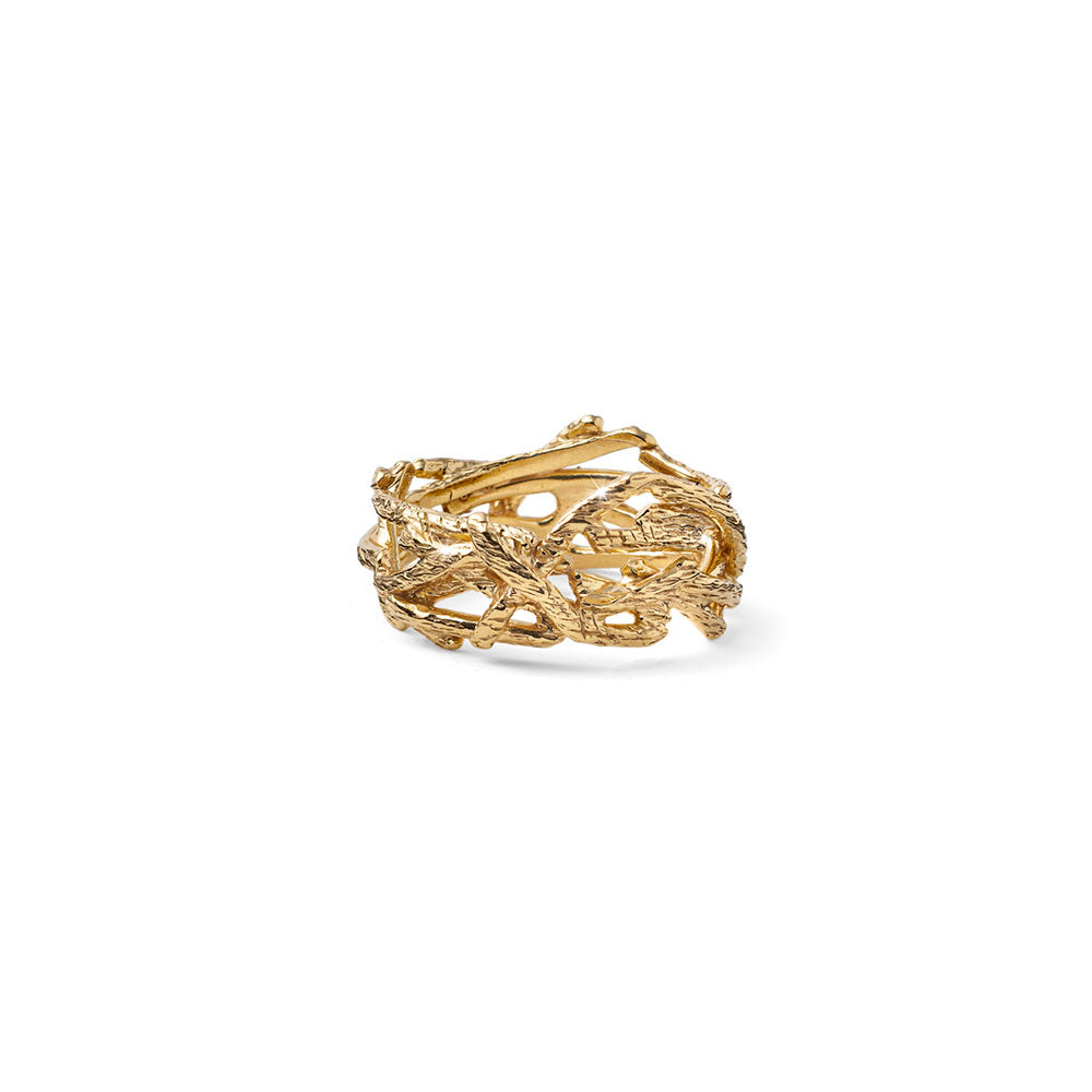 ANELLO HERA