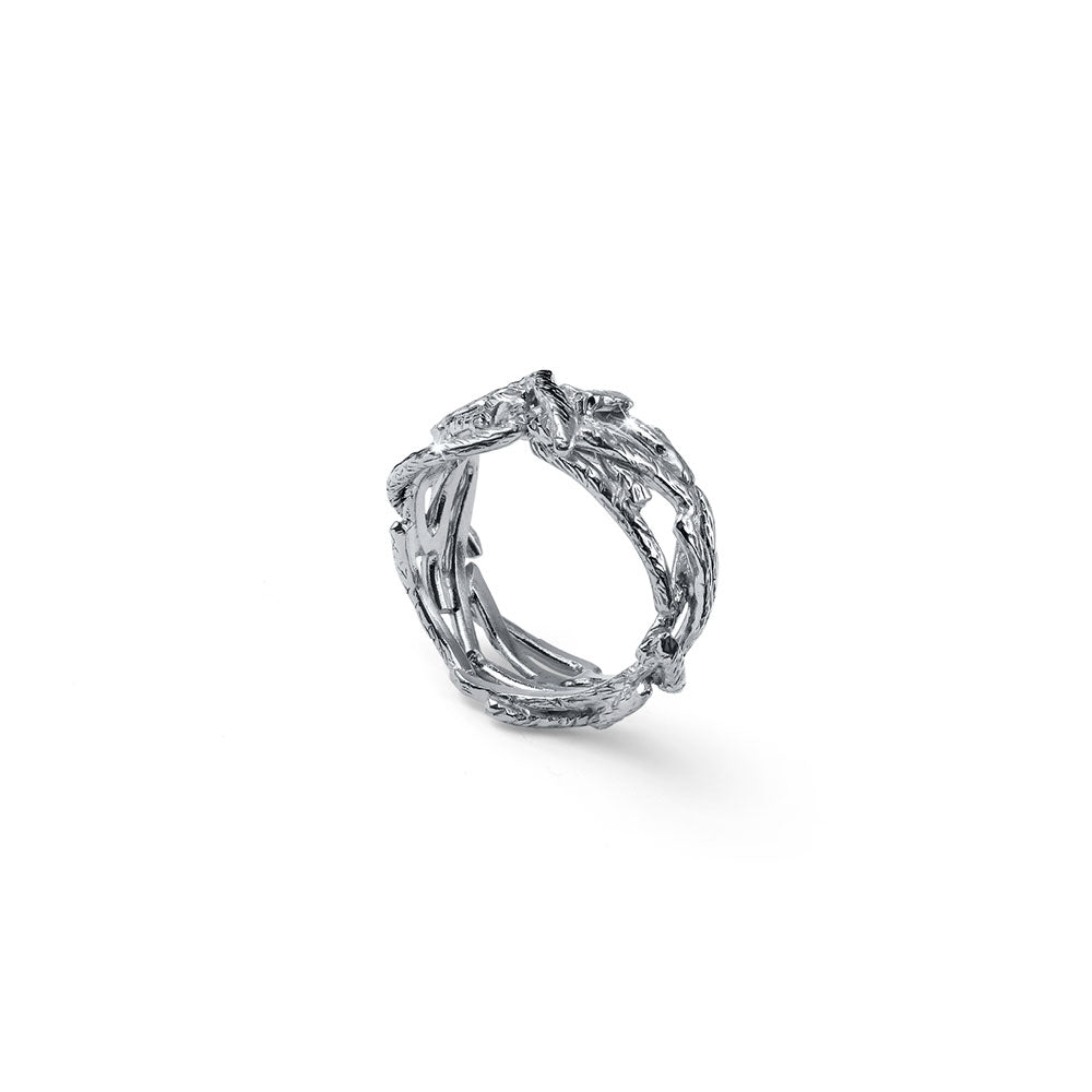 ANELLO HERA